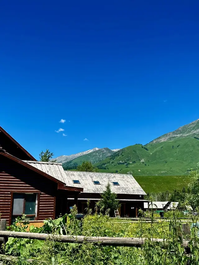 新疆北疆-喀納斯親子滑雪之旅超詳細攻略