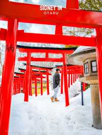 ❄️為什麼2025年雪季還要去小樽？