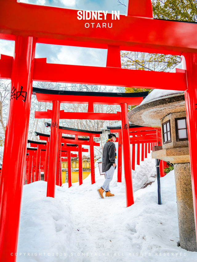 ❄️為什麼2025年雪季還要去小樽？