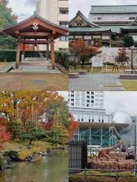 探秘福井：日本小眾旅行的夢幻之境