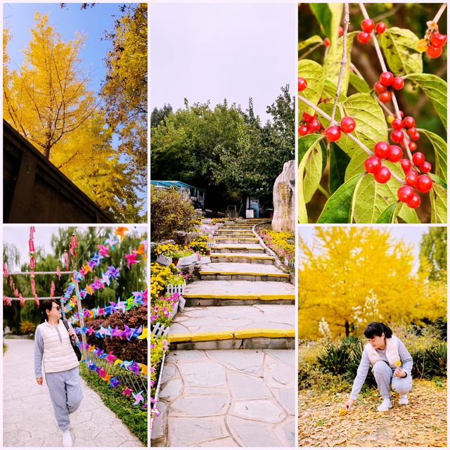 北京西山森林公園遊覽