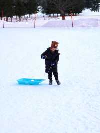 不得不說，全家一起滑雪，北海道TOMAMU真的是絕了