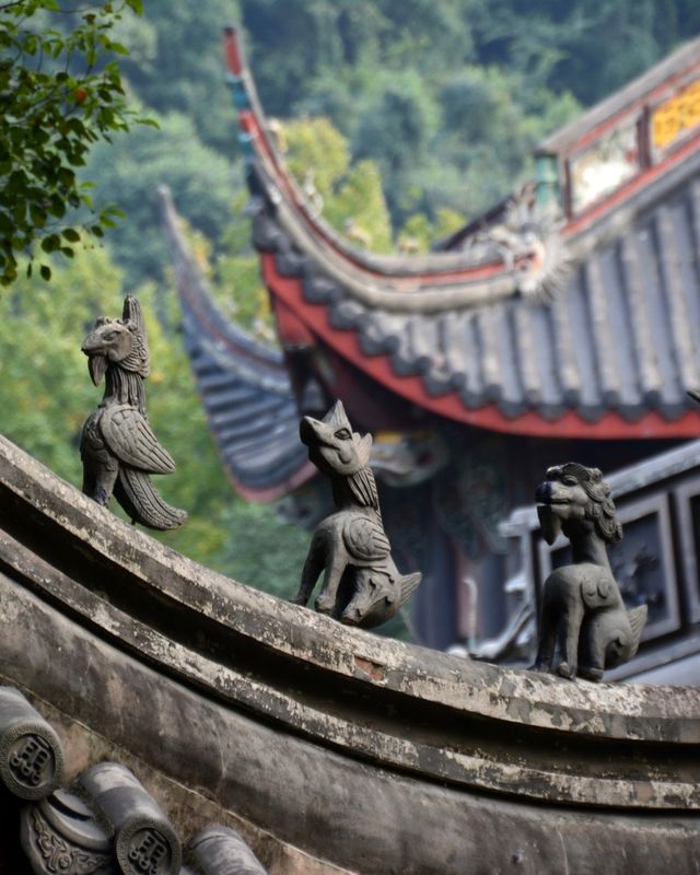 Travel Guide to Hangzhou, China