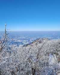 在原州市雉岳山看到了絕美的霧凇