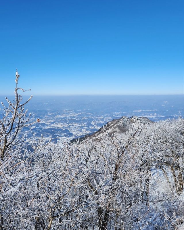在原州市雉岳山看到了絕美的霧凇
