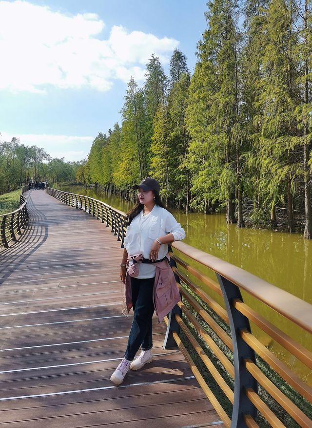 崇明島西沙濕地～一個畫一樣嘅地方