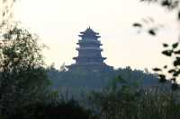 吉林四平市植物園：自然之美的繽紛世界