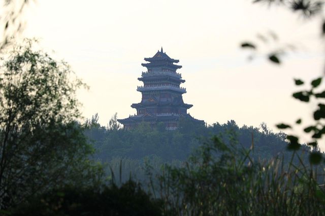 吉林四平市植物園：自然之美的繽紛世界
