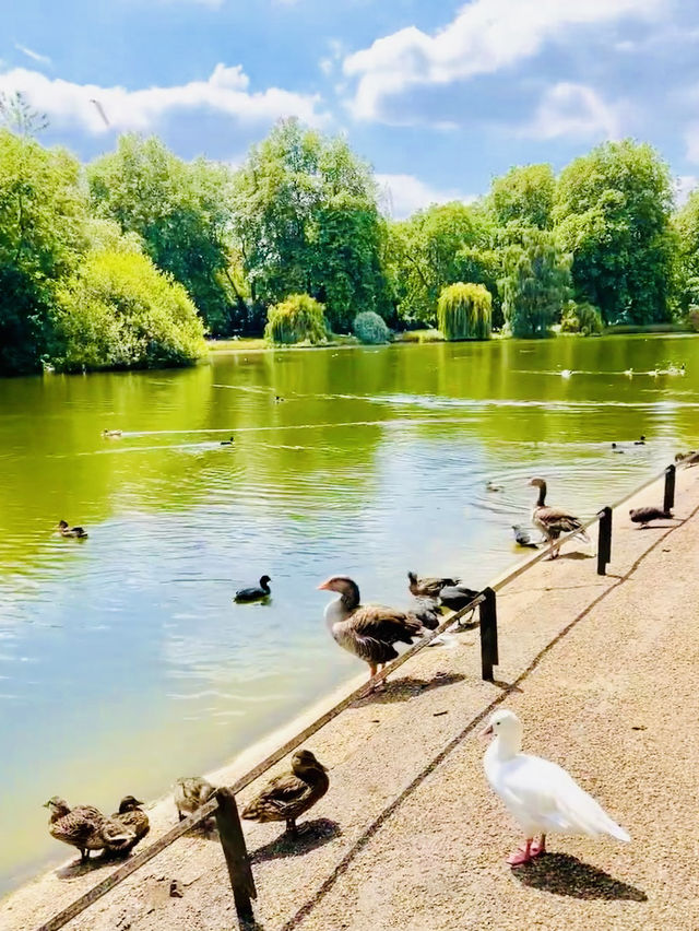 London City Walk beauty! 