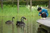 長興島濕地公園，春日治癒系被這裡承包了！
