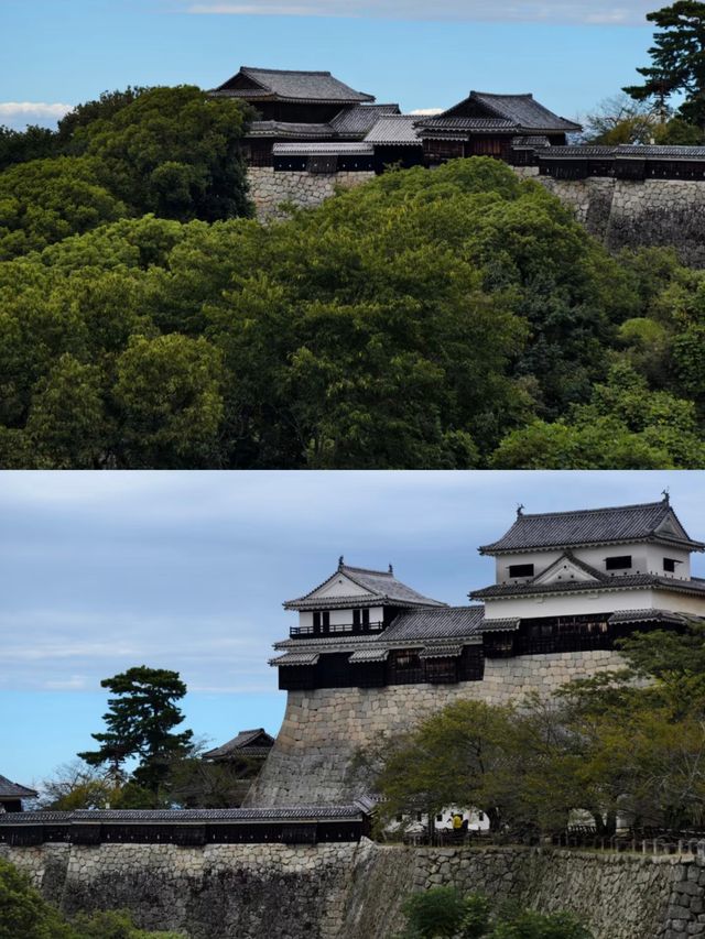 日本松山：溫泉與城堡的魅力之旅 