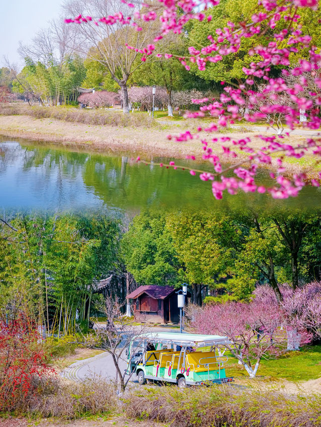 春日限定浪漫｜尚湖風景區&飛熊樂園，一場與自然的邂逅