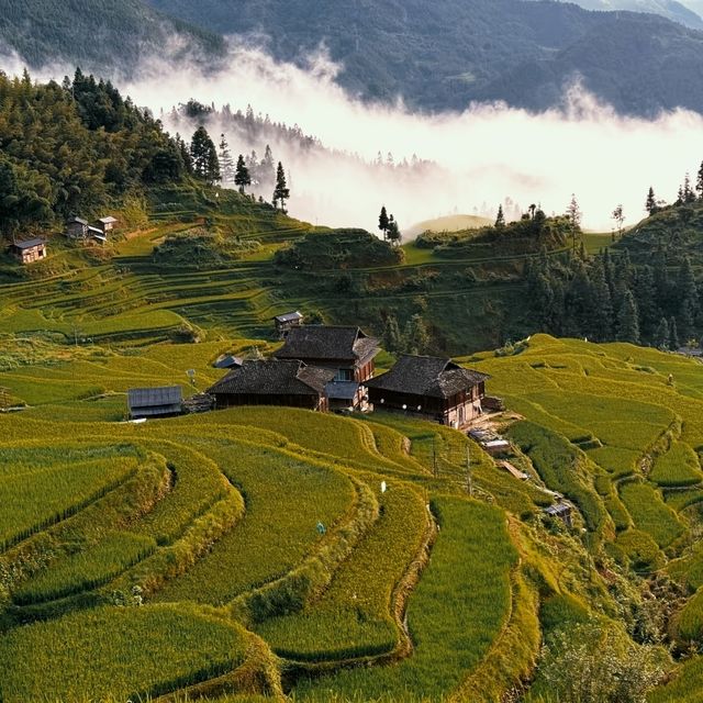 貴州的梯田，屬於最美的田地