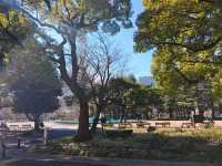 日比谷公園的 citywalk
