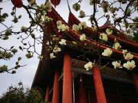 穿越自貢丹霞地貌（尖山、穿山洞、農團、飛龍峽）