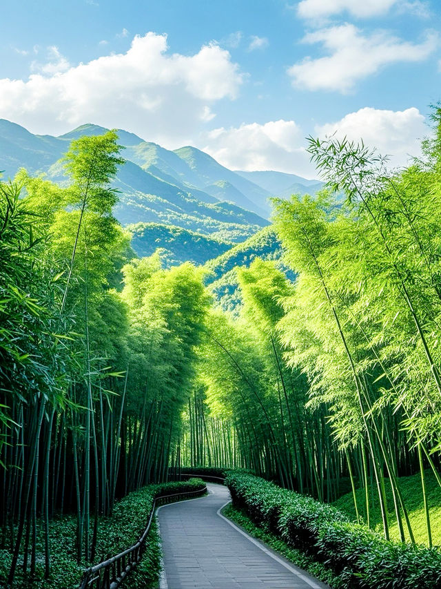 蜀南竹海藏着嘅神秘「綠密碼」，你能夠解開嗎？