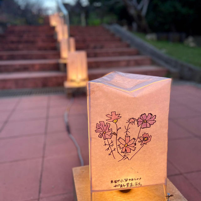 沖繩首波浪漫🌸 八重瀨公園的春日驚喜