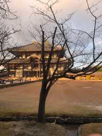 清明時節 6日深度遊日本攻略