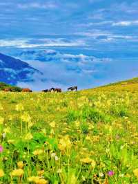 漫步九鼎山，在山巒雲海間找尋心靈的棲息處