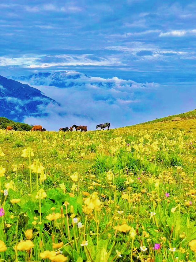 漫步九鼎山，在山巒雲海間找尋心靈的棲息處