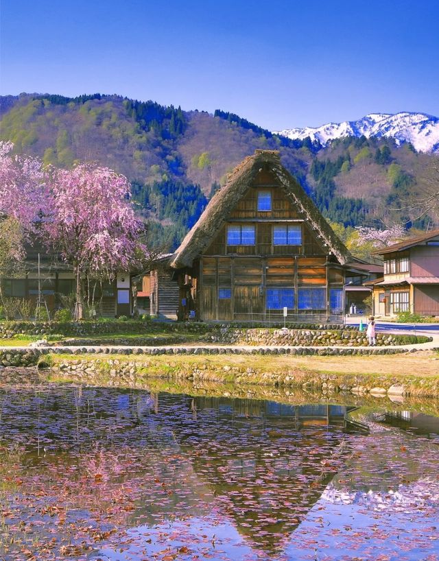 6月也能看雪？日本大雪谷開山