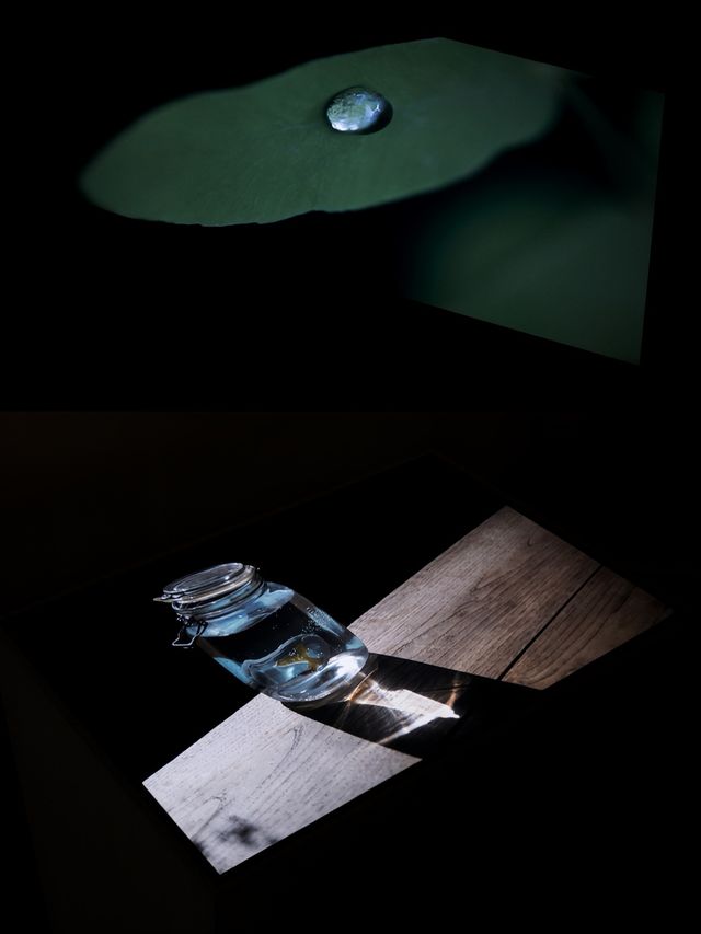 蘇州河畔一票多展｜人人都來做攝影師！