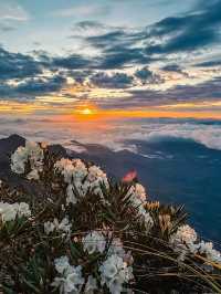 五指山2天遊 玩轉全景不留遺憾