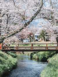 小長假去日本旅遊攻略來啦