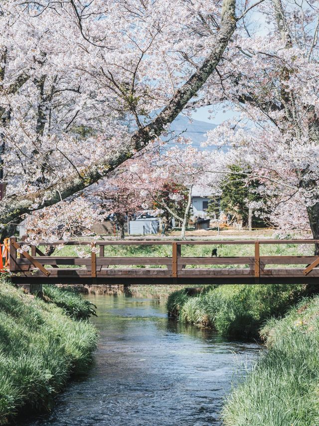 小長假去日本旅遊攻略來啦