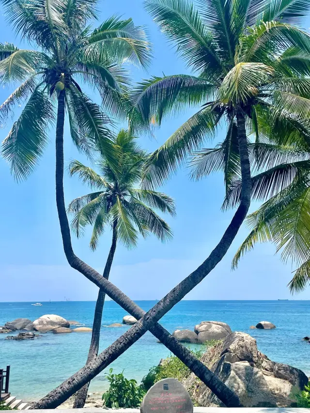 三亞-五指山5天深度遊 超詳細攻略來襲別錯過