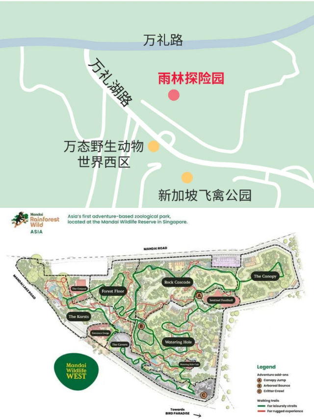 Singapore's Rainforest Wild Asia Adventure Park Opens March