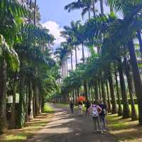 斯里蘭卡的旅行