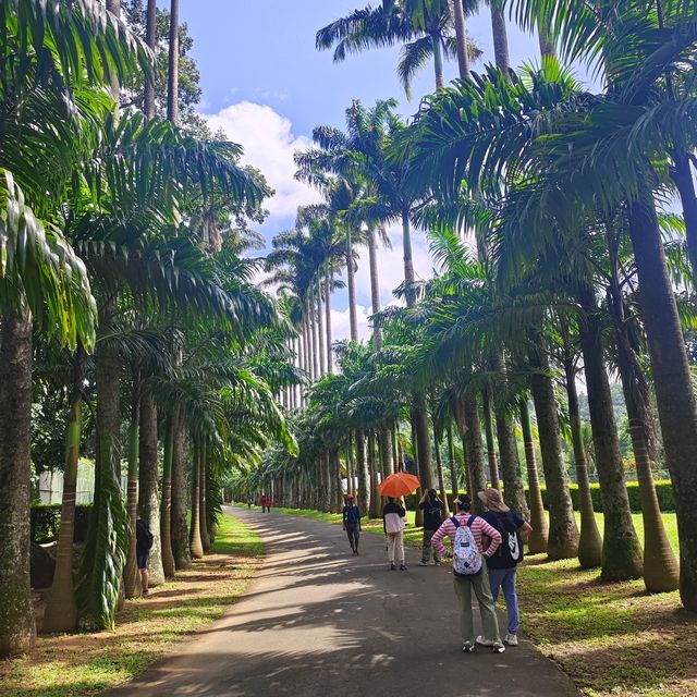 斯里蘭卡的旅行