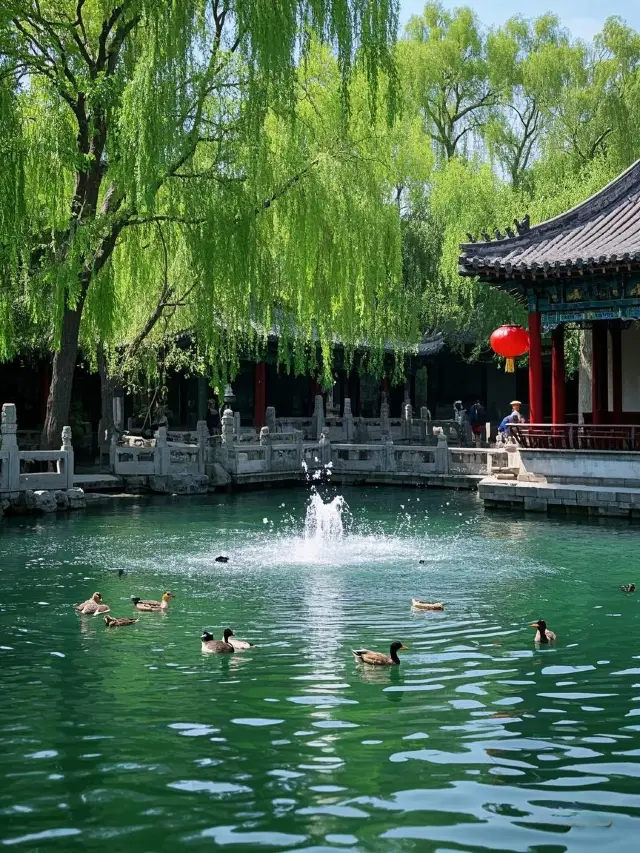 趵突泉観光スポットを訪れ、済南の最高の穴場スポットをアンロック