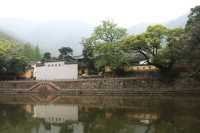 寧波尋春，免費又幽靜的天童寺簡直不要太美
