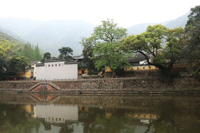 寧波尋春，免費又幽靜的天童寺簡直不要太美