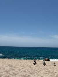 Los Cabos | 墨西哥蔚藍秘境の全包式美學之旅