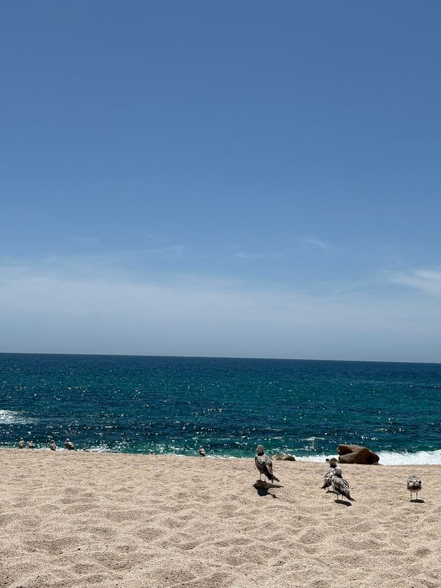 Los Cabos | 墨西哥蔚藍秘境の全包式美學之旅