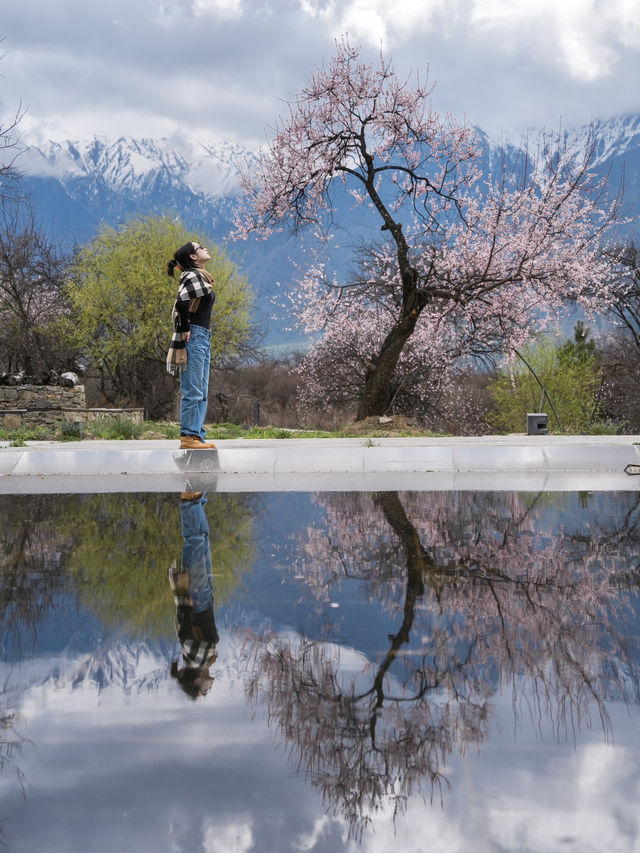 為了西藏的雪山與桃花｜專門去了次米林