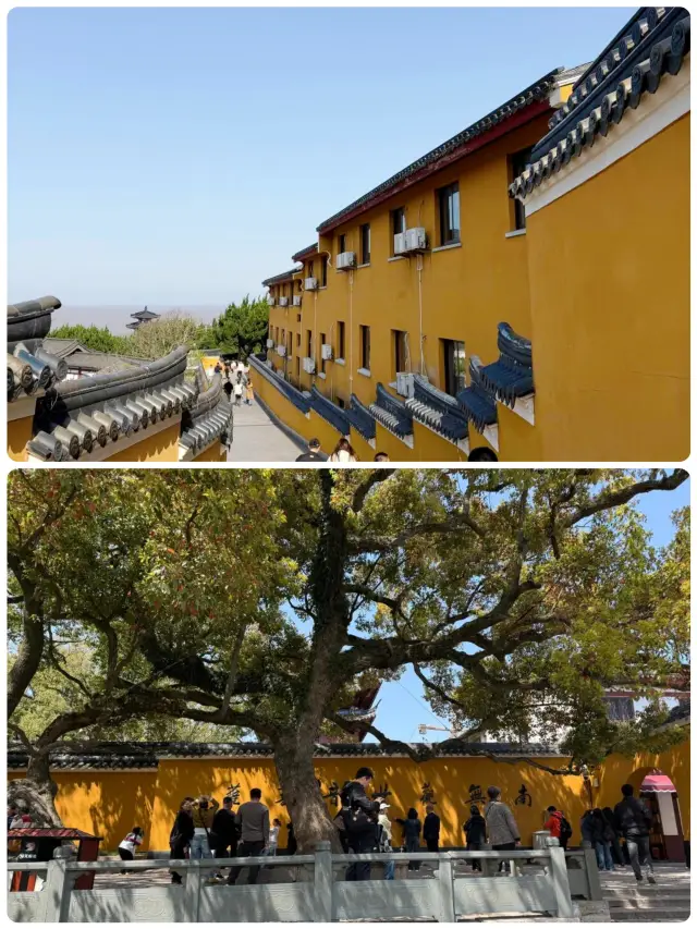 A Pilgrim's Guide to Putuoshan, the Buddhist Kingdom by the Sea!