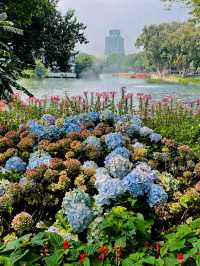 #荔灣湖公園：粵韻悠揚的城市明珠