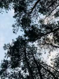 千島湖｜開元度假村