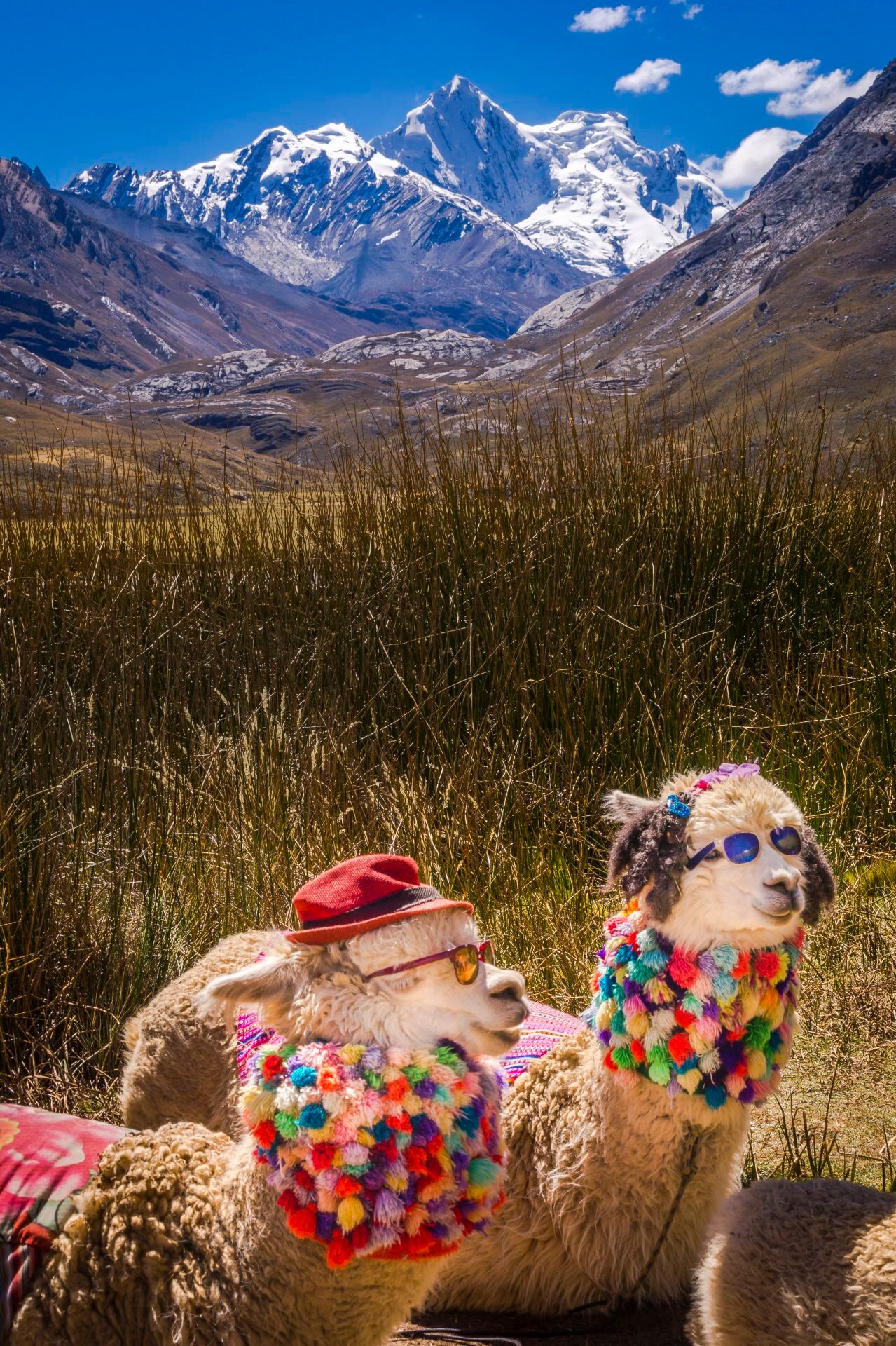 [Peru 9-Day In-depth Itinerary] Double World Heritage Sites Adventure Guide!