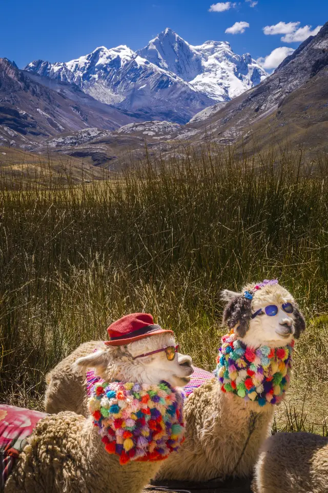 [Peru 9-Day In-depth Itinerary] Double World Heritage Sites Adventure Guide!