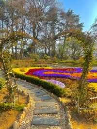 青島也有自己的秘密花園，你知道在哪裡嗎？