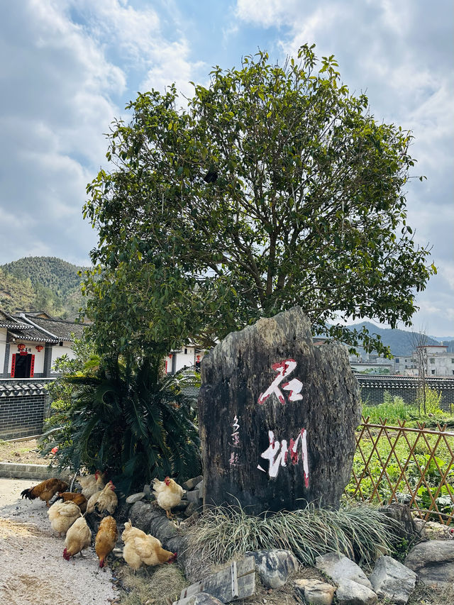 美麗鄉村 石圳村