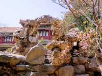 Imperial Gardens of China: A Glimpse into Nature and Harmony
