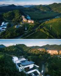 被竹海茶田360°包圍！入住安吉療癒系森林酒店