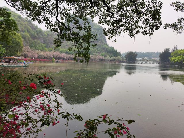 清明節登七星岩