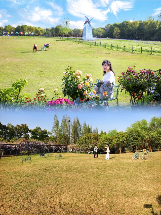 周末去哪兒|揚州網紅打卡遊船竹林行